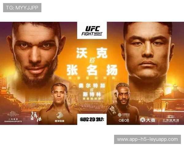 UFC暴怒反击，一拳定胜负——战斗的巅峰对决