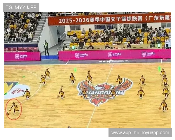 中国篮球文化在海外博览会中的视觉传播策略，中国篮球文化在海外博览会中的视觉传播策略有哪些