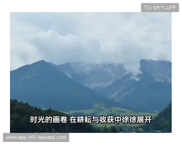 青训是否尝试双导师制提升个体关注度，双导师制培养体系