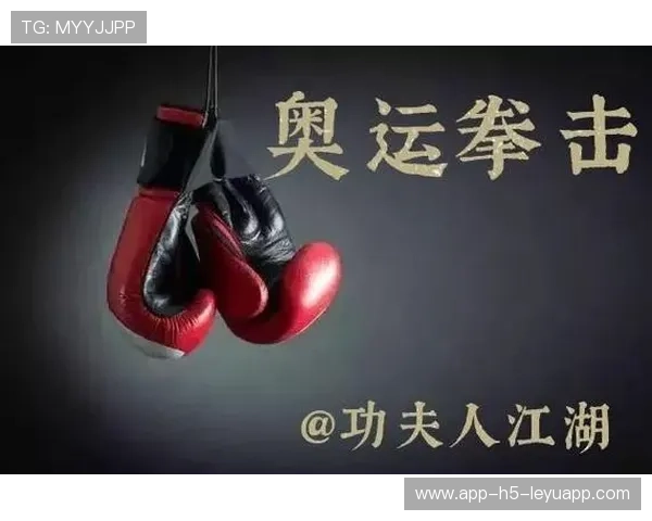 国际拳击联盟选手伤病赔偿机制完善提案，国际拳击规则